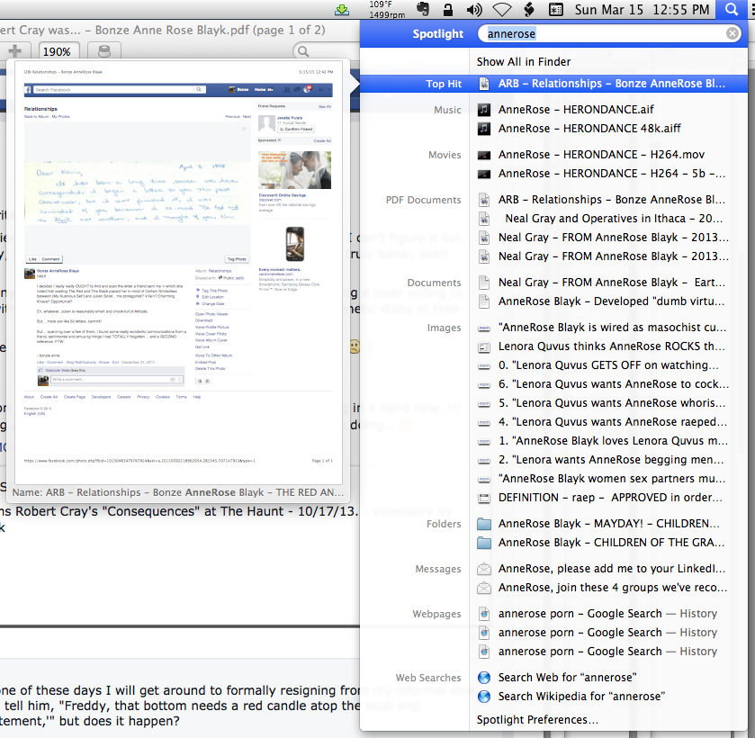 ./ annerose - SLAVERY SPECIFICATIONS - Screen Shot 2015-03-15 at 12.54.51 PM.png